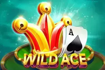 Wild Ace - Spin City - Congo